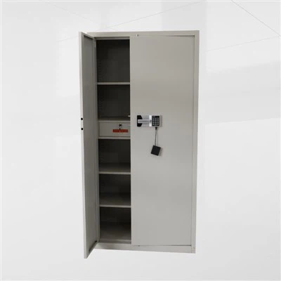 خزانة ملفات سرية الصلب